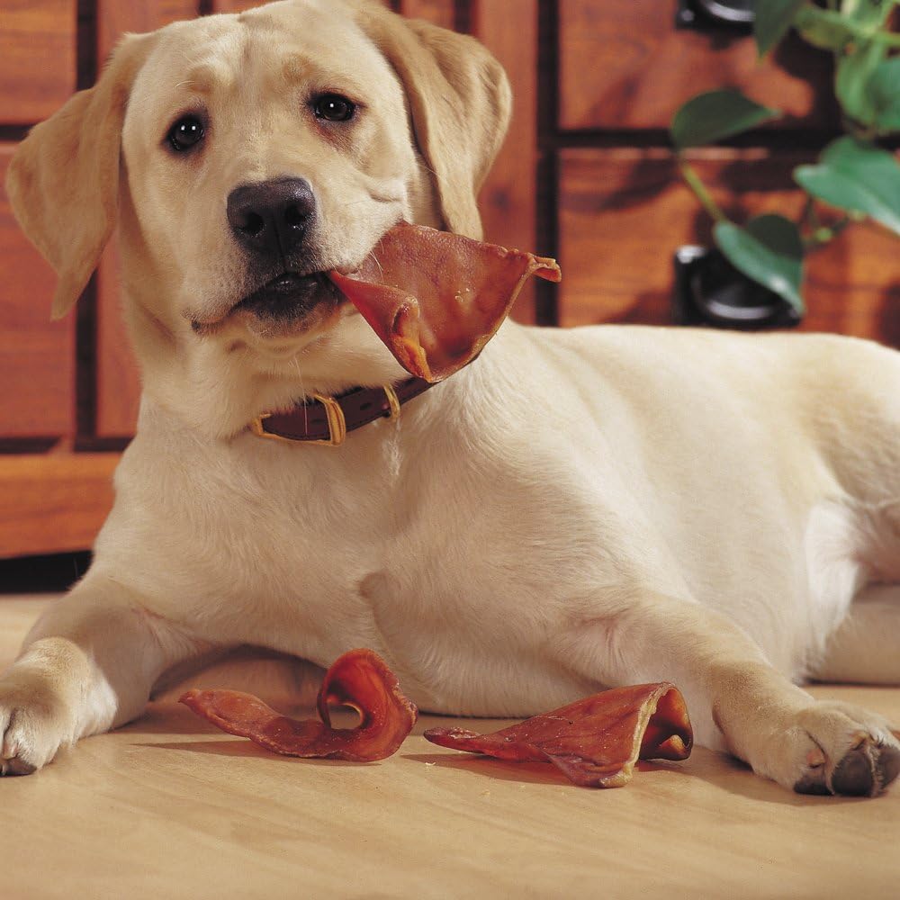 USA Pig Ears by EcoKind Dog Treats and Chews Thick-Cut, All Natural Dog Treats